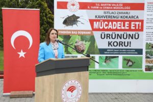 Bartın’da Kahverengi Kokarca ile Mücadele Başladı: 2.000 Tuzak ve 600 Litre İlaç Dağıtıldı