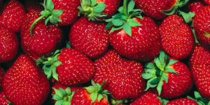 Bartın’da “Çilekli Pasta Yarışması” İçin Geri Sayım Başladı: Kurallar Belli Oldu